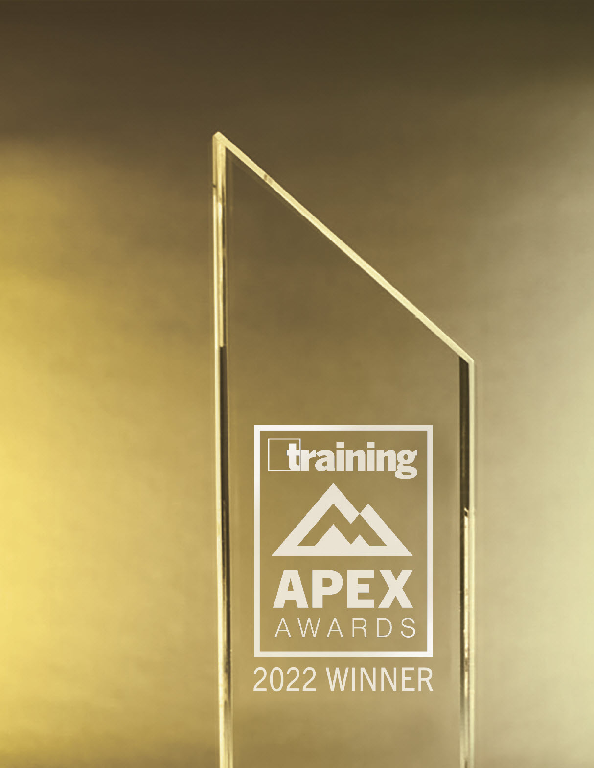 A glass act: the Training APEX crystal award.