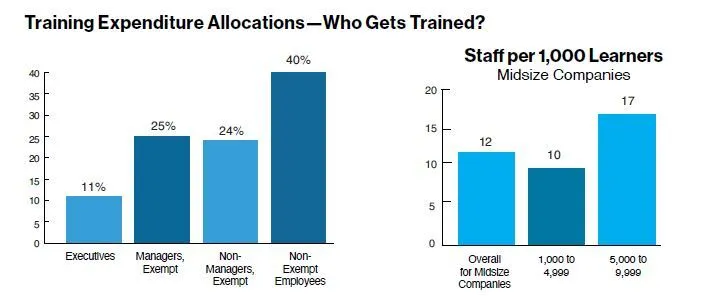 Training Expenditure Allocations—Who Gets Trained?