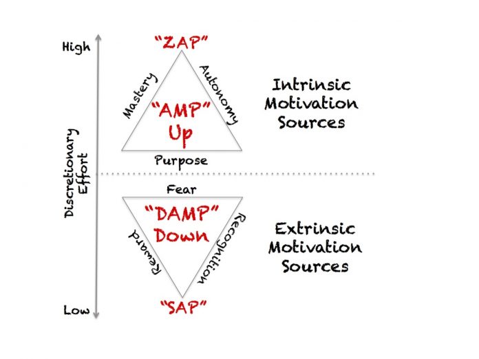 learningmattersAMP-Model